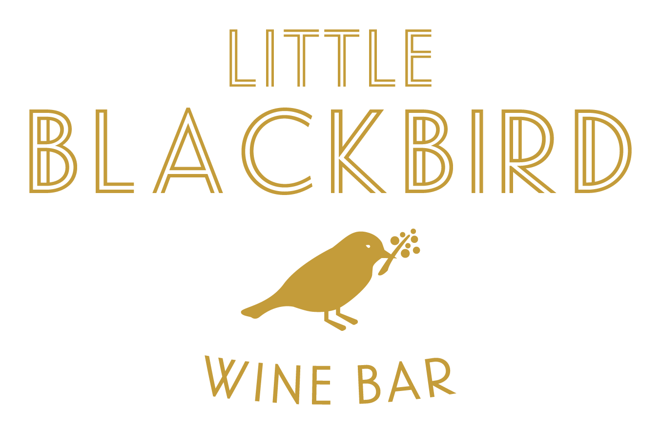 Photo of Little Blackbird
