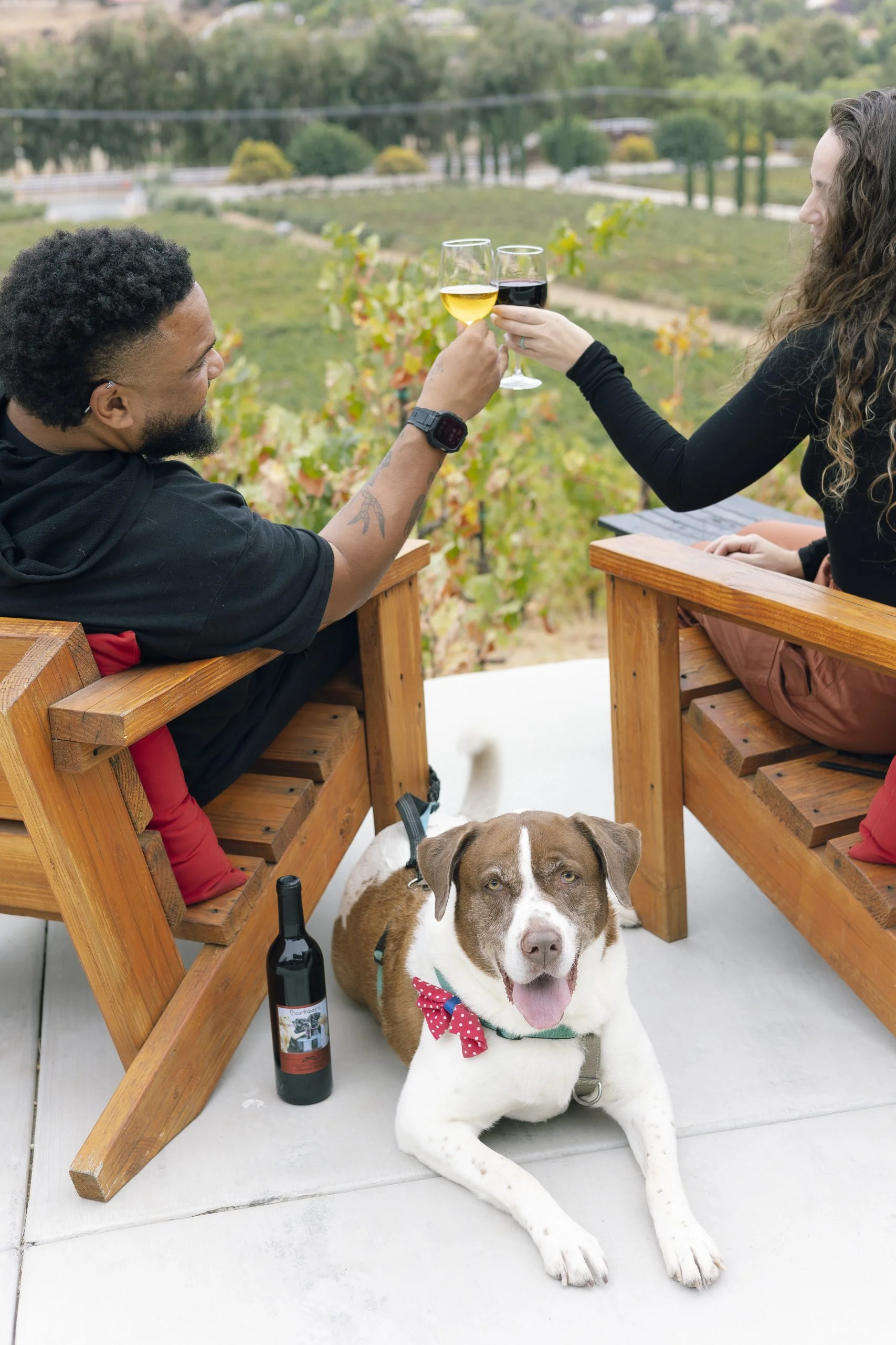 Photo of Cougar Vineyard and Winery