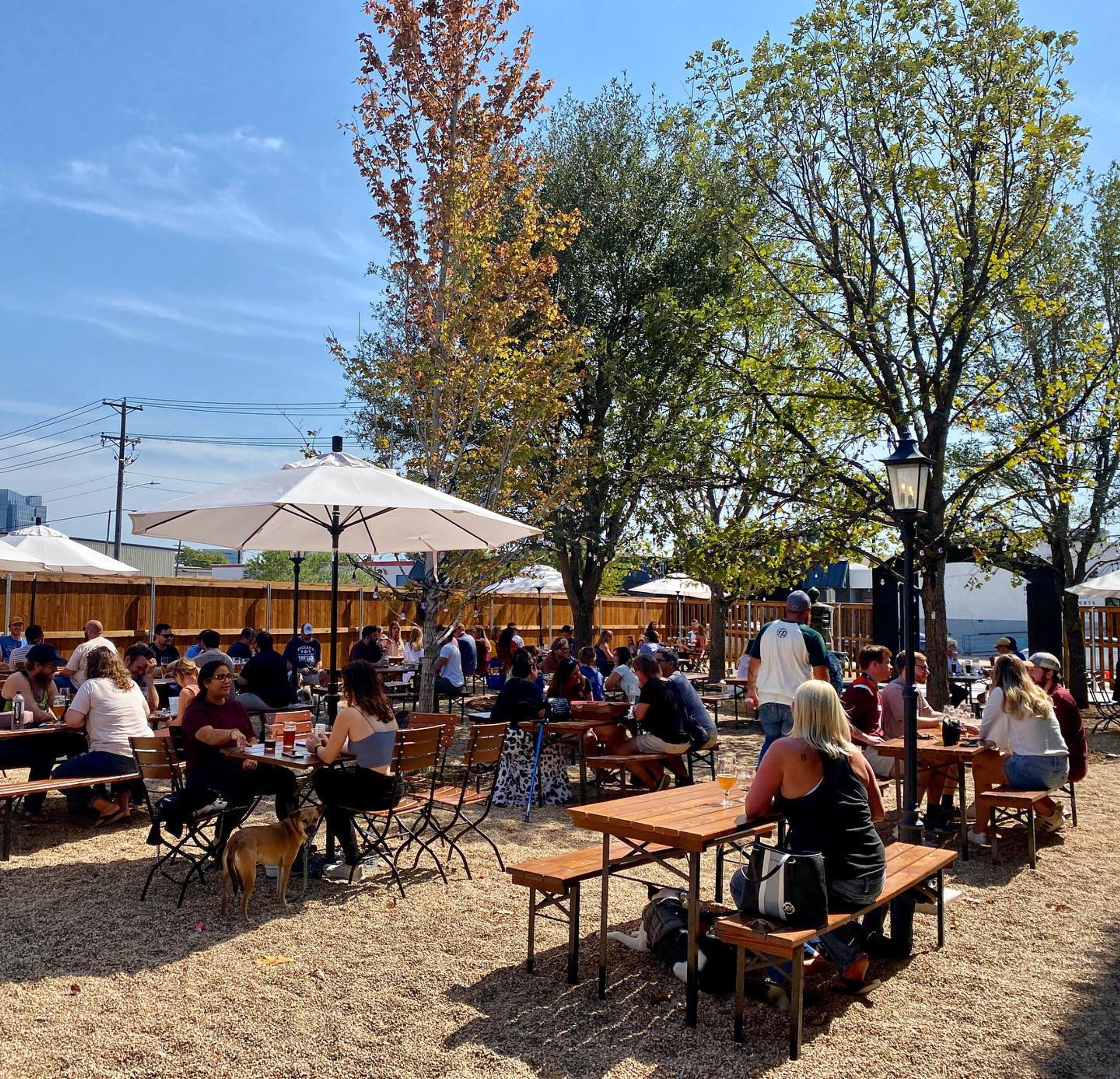 Photo of Maple Branch Craft Brewery