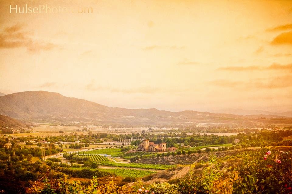 Photo of Robert Renzoni Winery