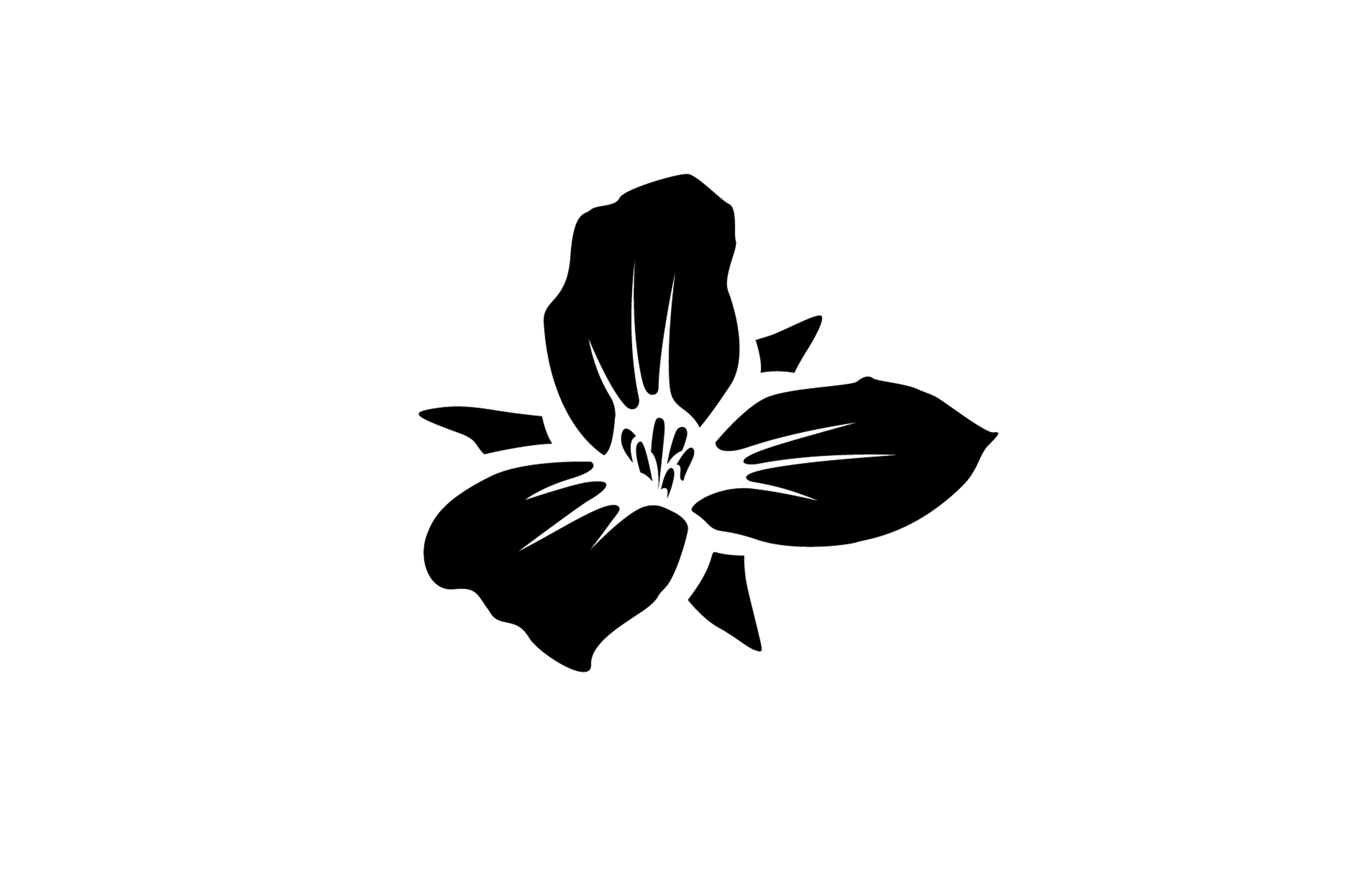 Photo of Trillium - Canton