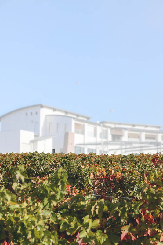 Photo of Altisima Winery