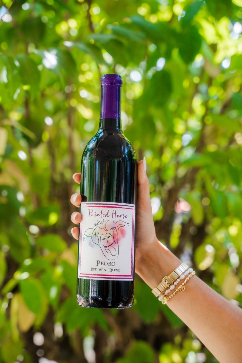 Photo of The Painted Horse Winery & Vineyards