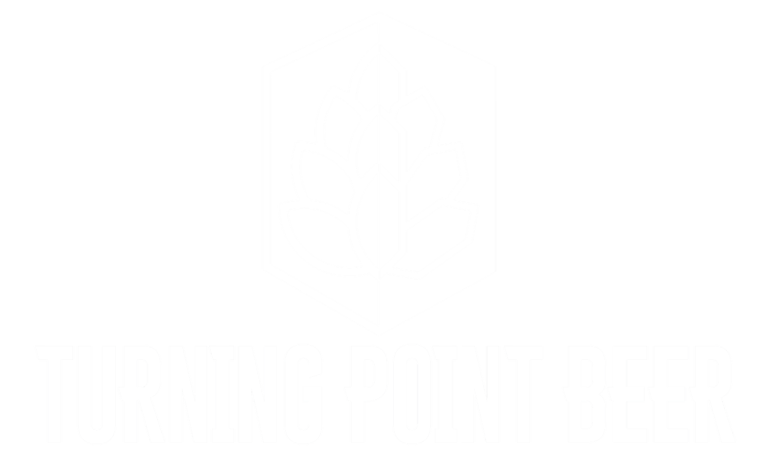 Photo of Turning Point Beer
