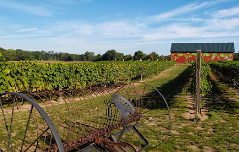 Rosedale Farms & Vineyards interior