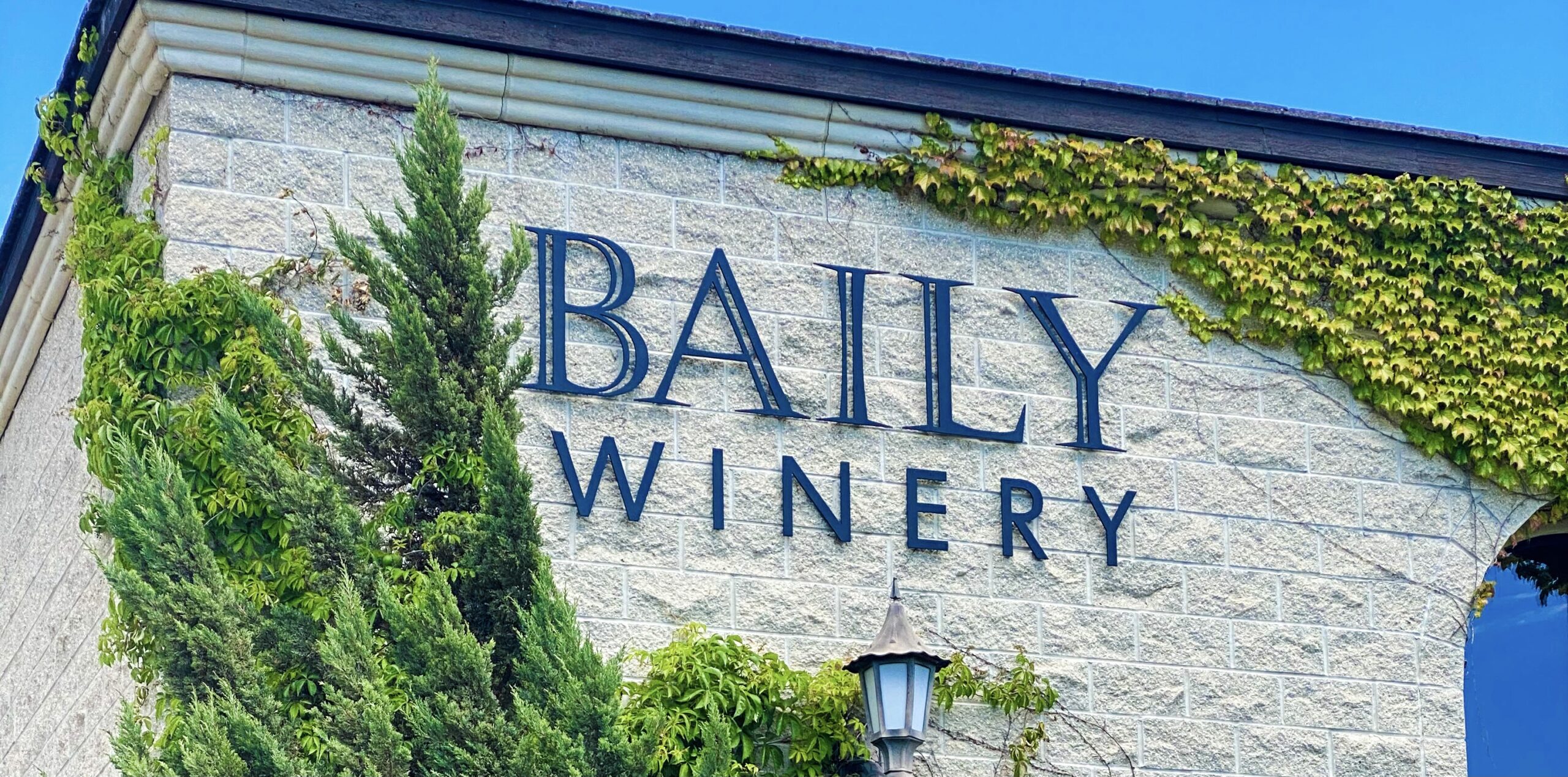 Photo of Baily Vineyard & Winery