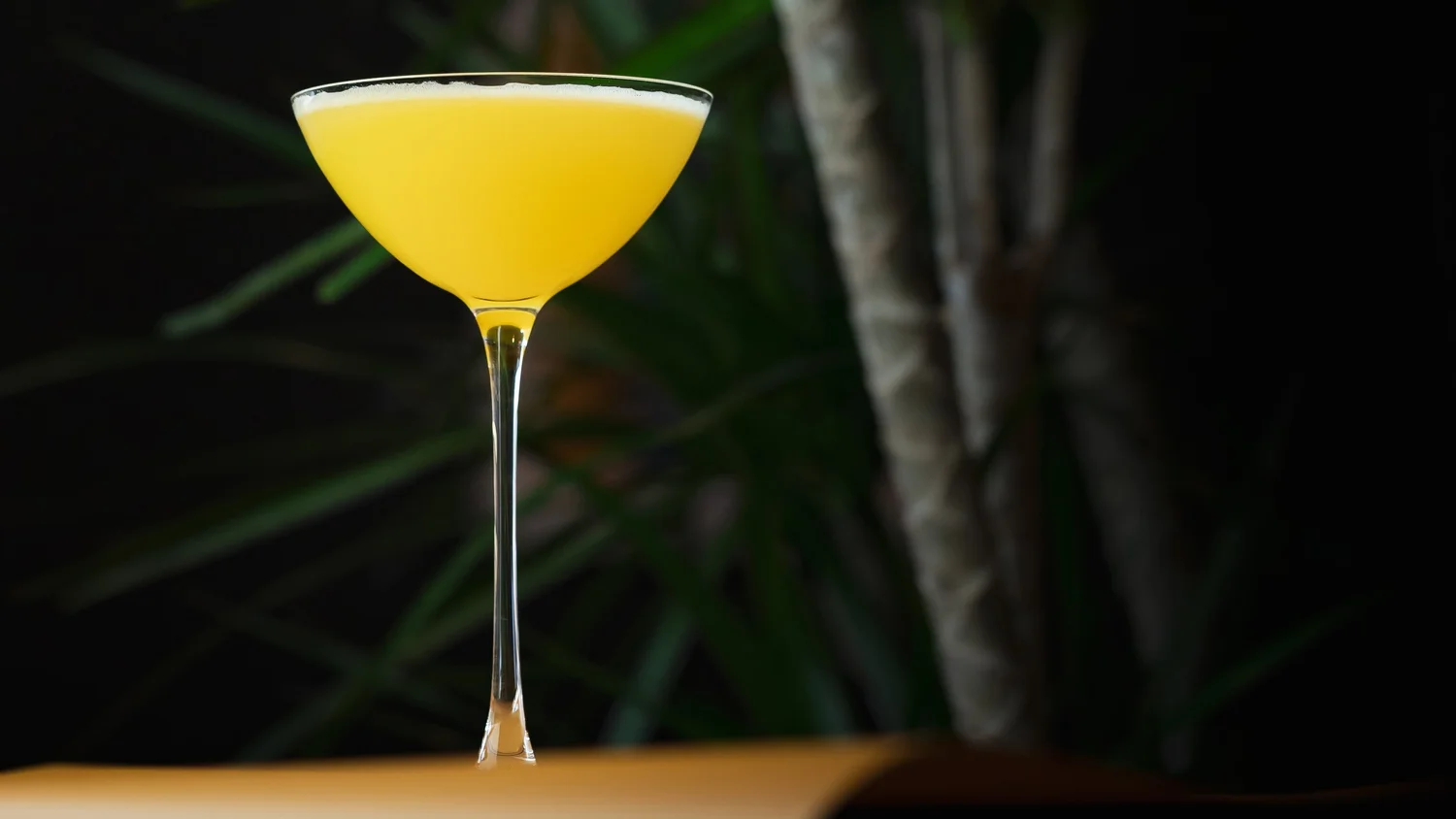 Photo of Bar Iris