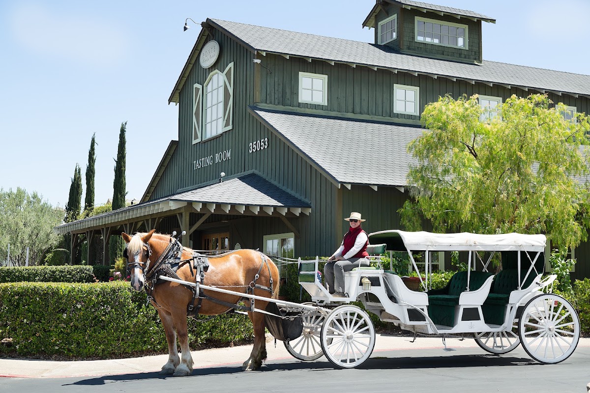 Photo of Ponte Winery