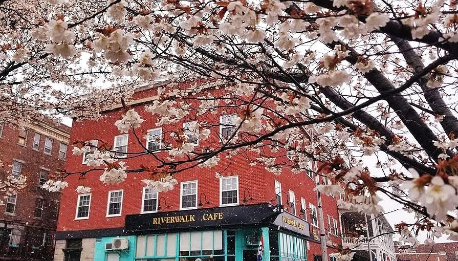 Photo of Riverwalk Bakery & Café