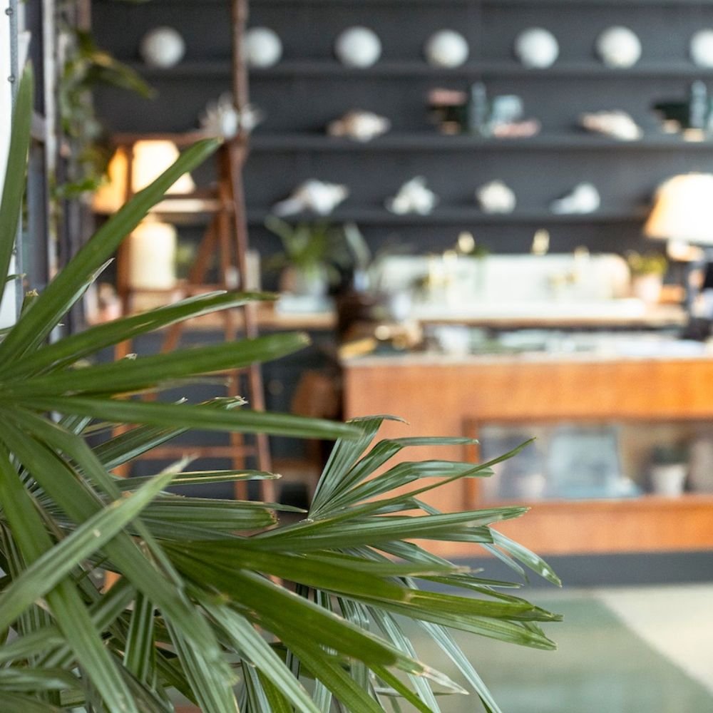 Photo of PALMERA HOUSE - Gluten-free Cafe, Natural Wine Bar, and Retail Shop