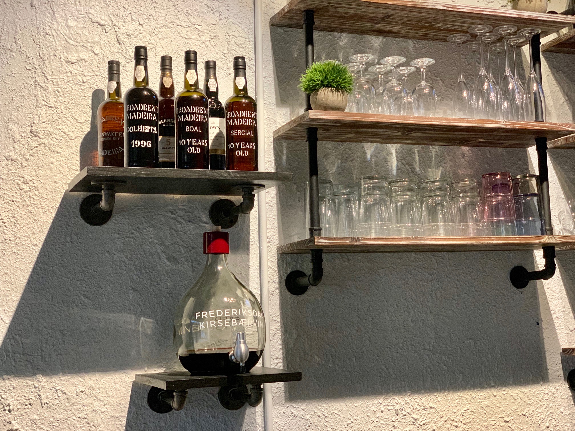 Photo of Bar Chinchilla