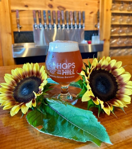 Photo of Hops on the Hill Brewery