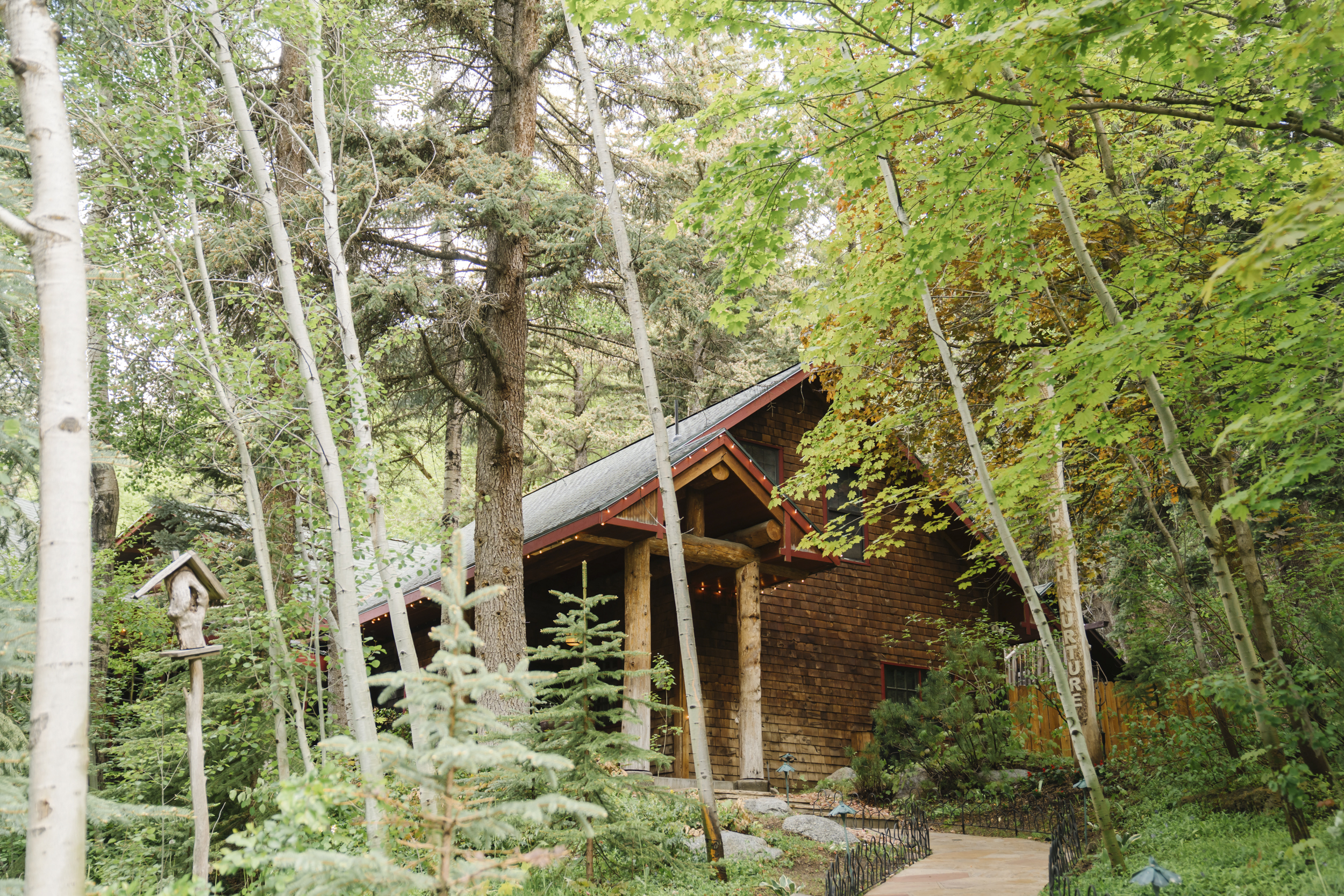 Photo of Log Haven