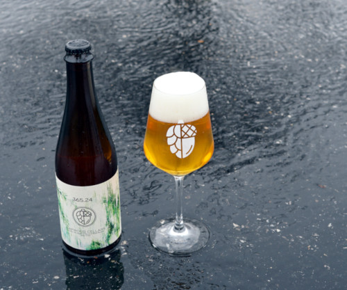 Photo of Sapwood Cellars Brewery