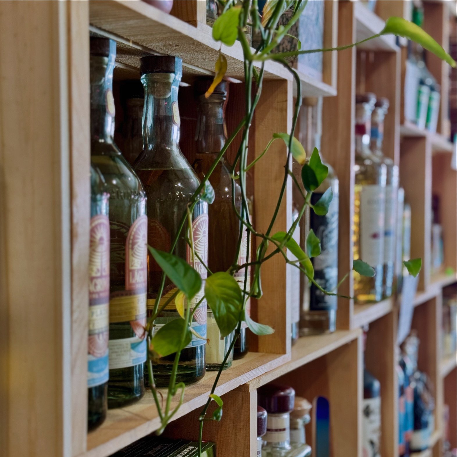 Photo of Monstera Mezcaleria & Natural Wine Bar