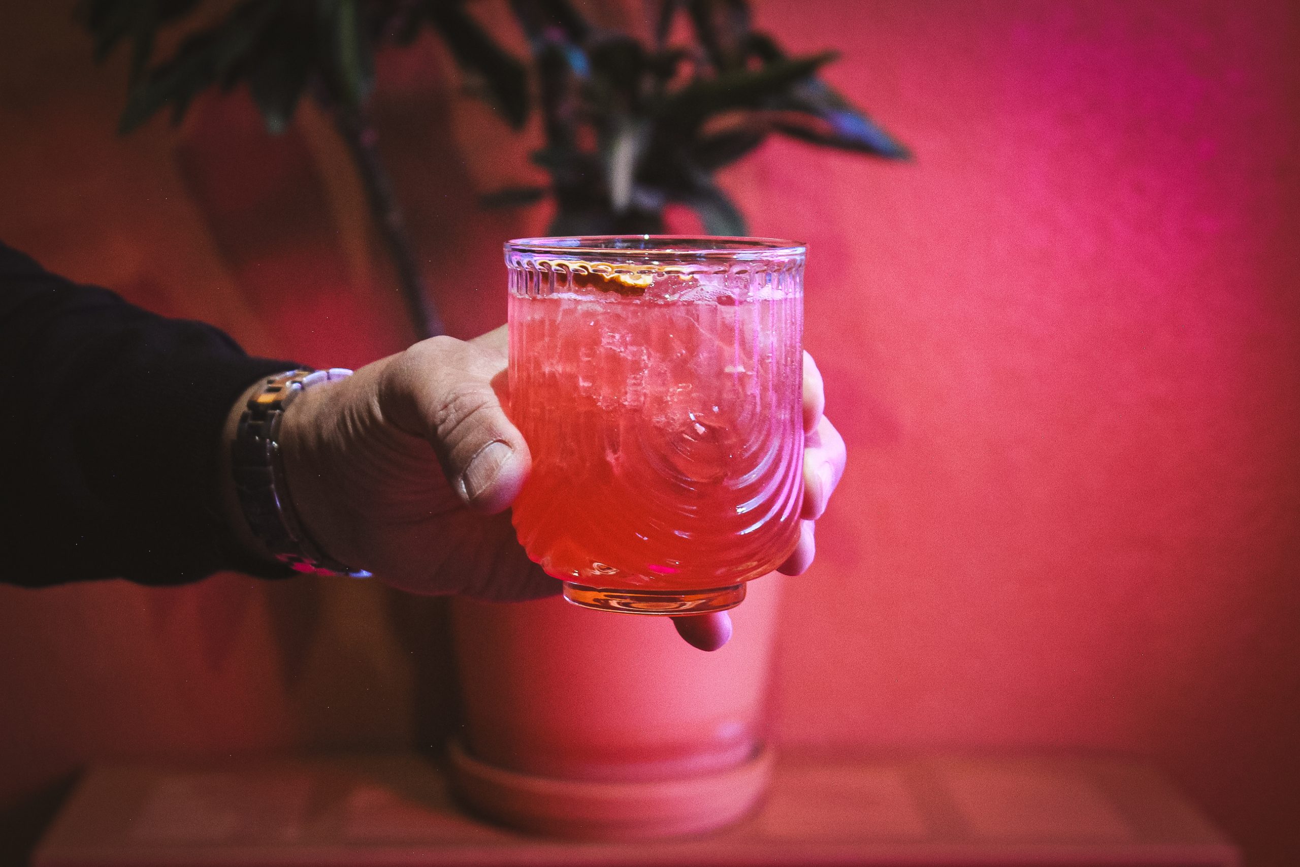 Photo of Agave Lounge