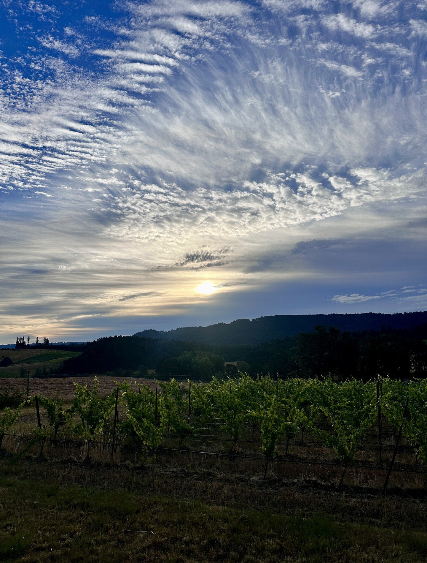 Photo of Portland Wine Bar & Winery Tasting Room