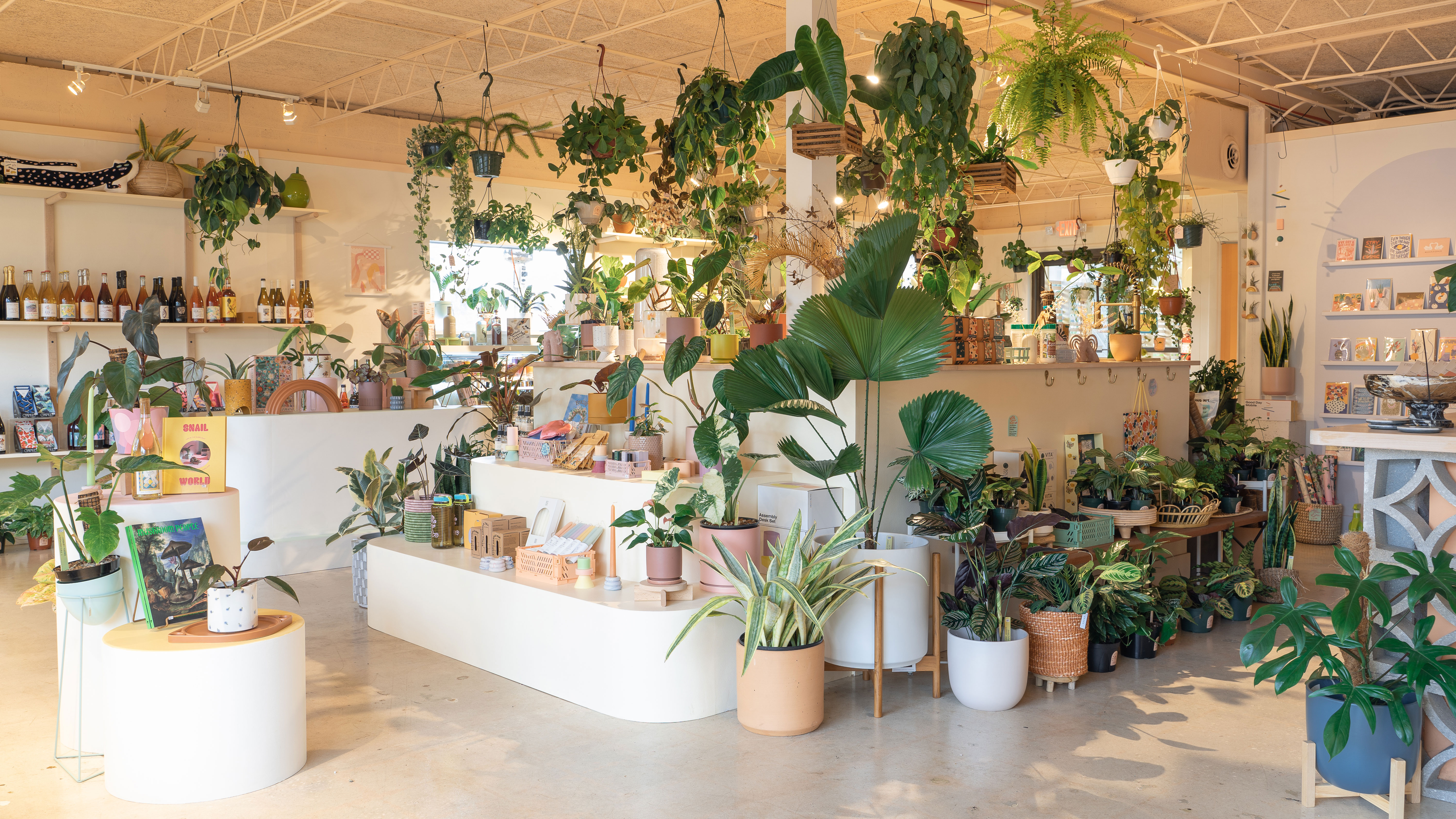 Photo of Serpentine Plant Shop & Wine Bar