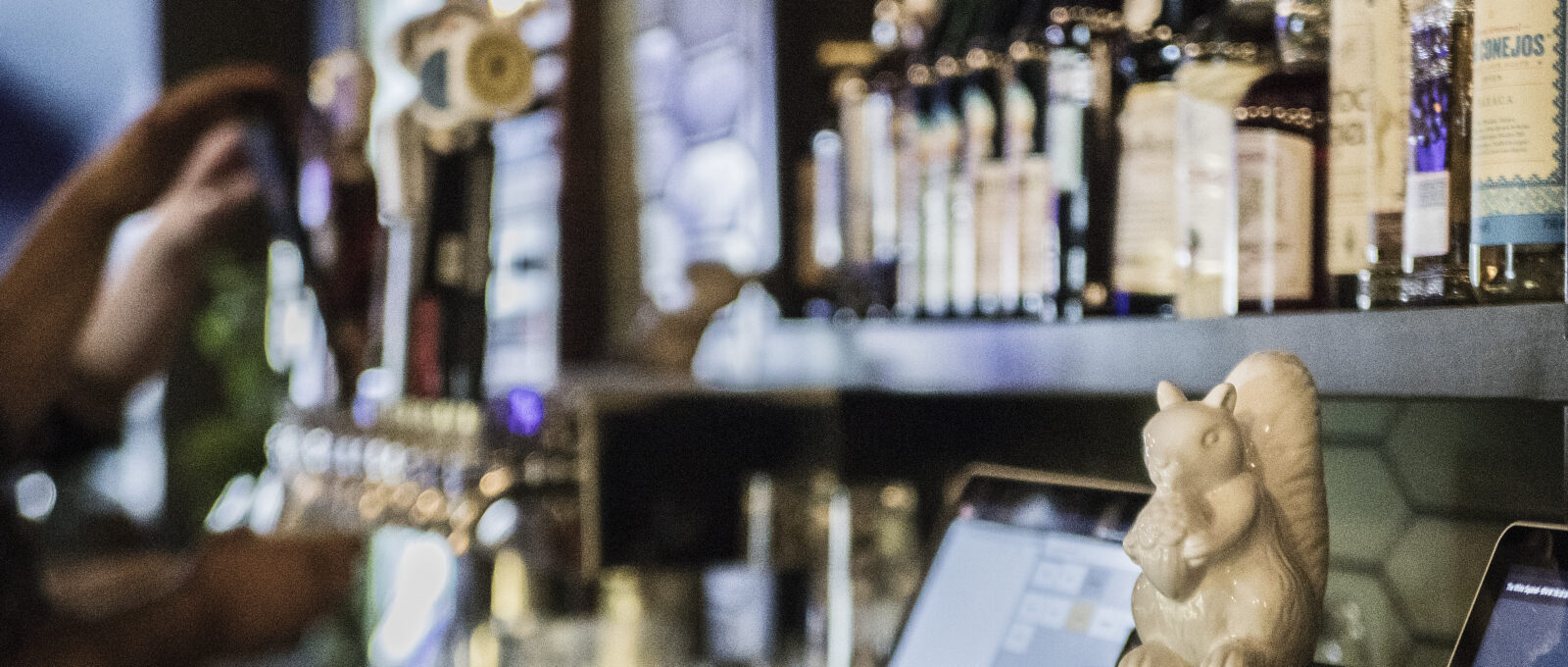 Photo of White Squirrel Bar