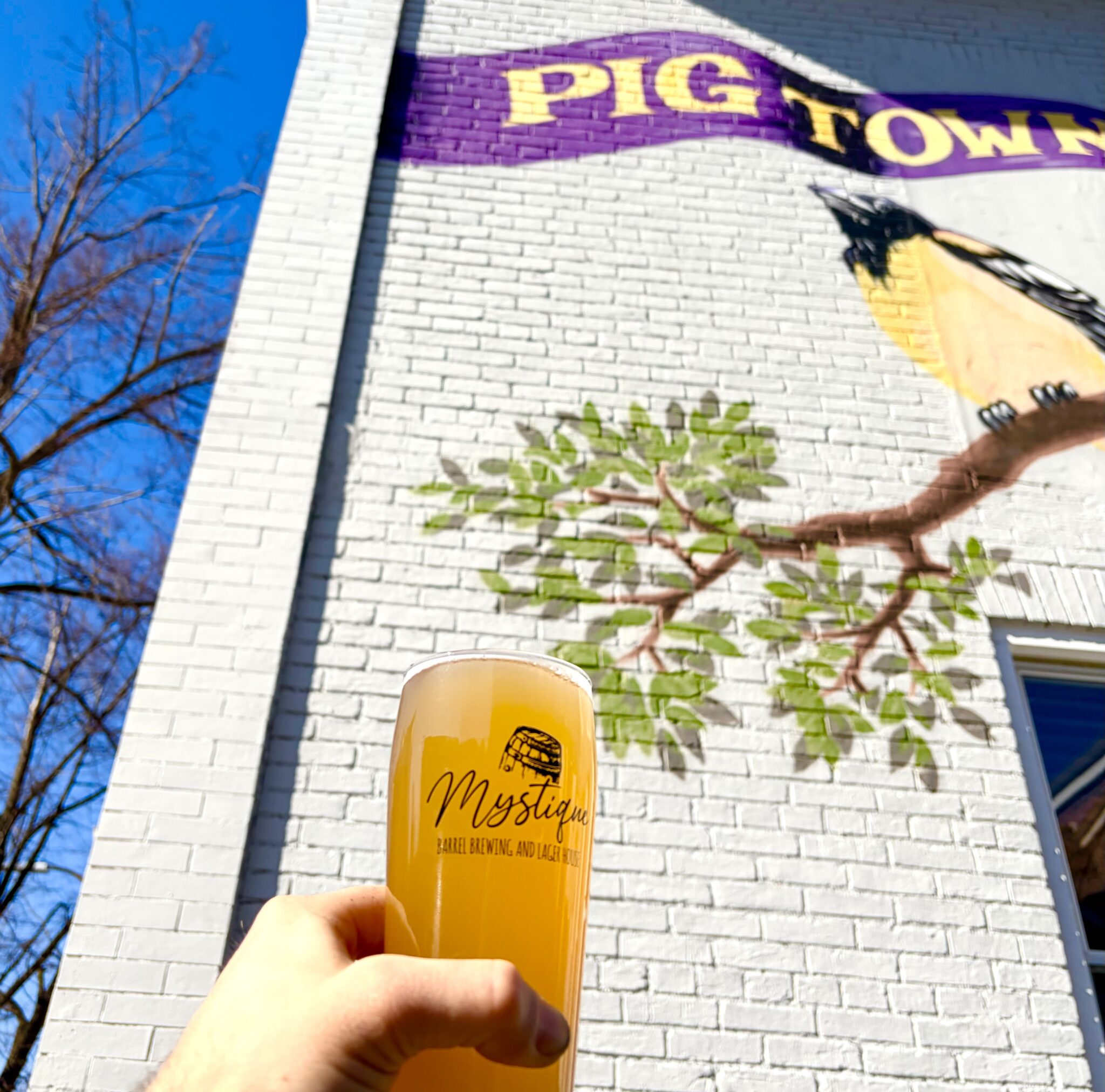 Photo of Mystique Barrel Brewing and Lager House