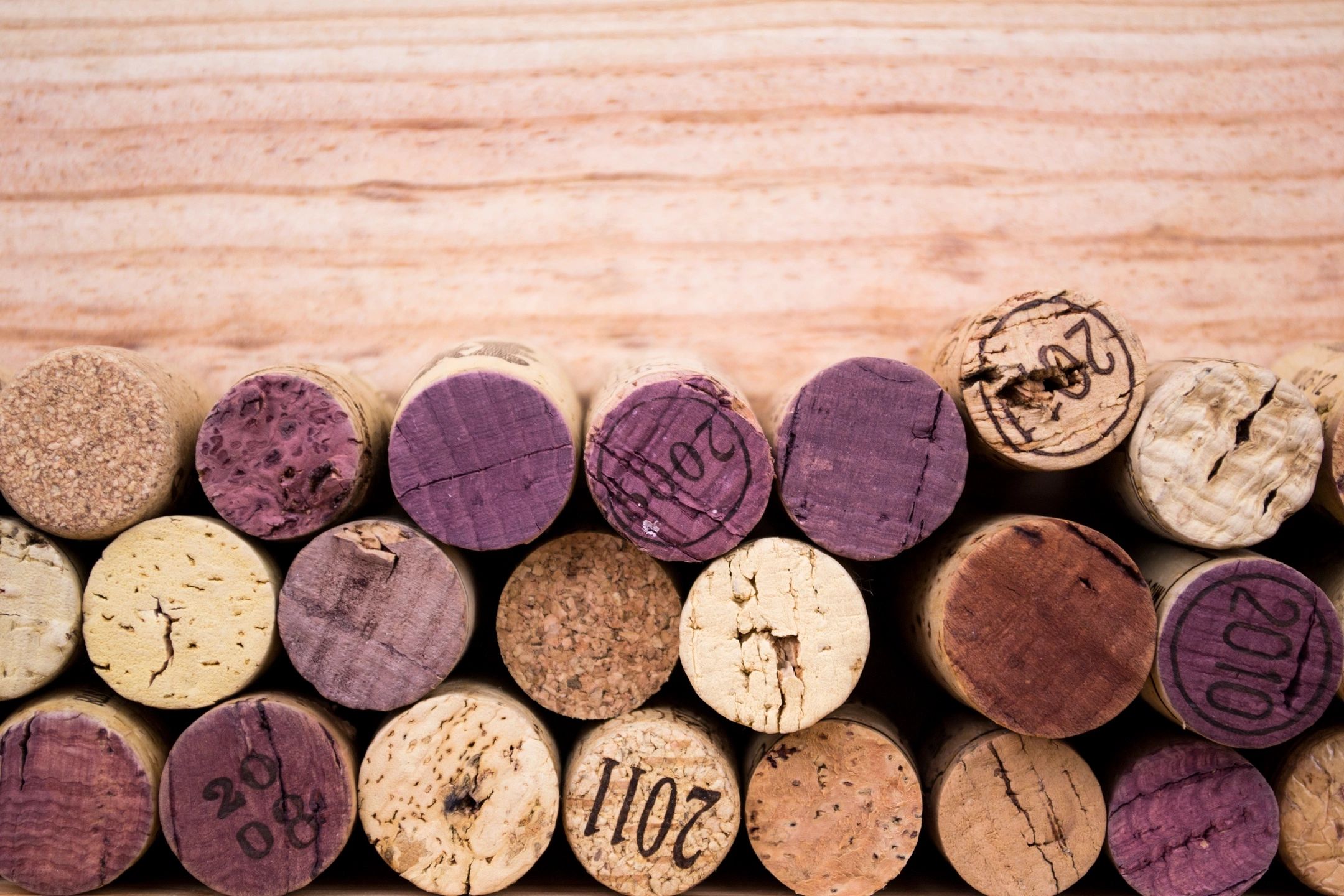 Photo of Buzzed Wine Bar
